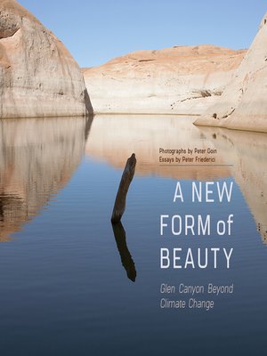 cover image of A New Form of Beauty